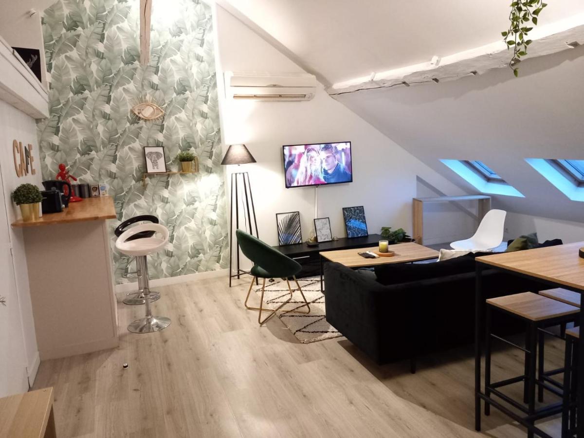 Magnifique Appartement En Hyper-Centre ! Poitiers Eksteriør billede
